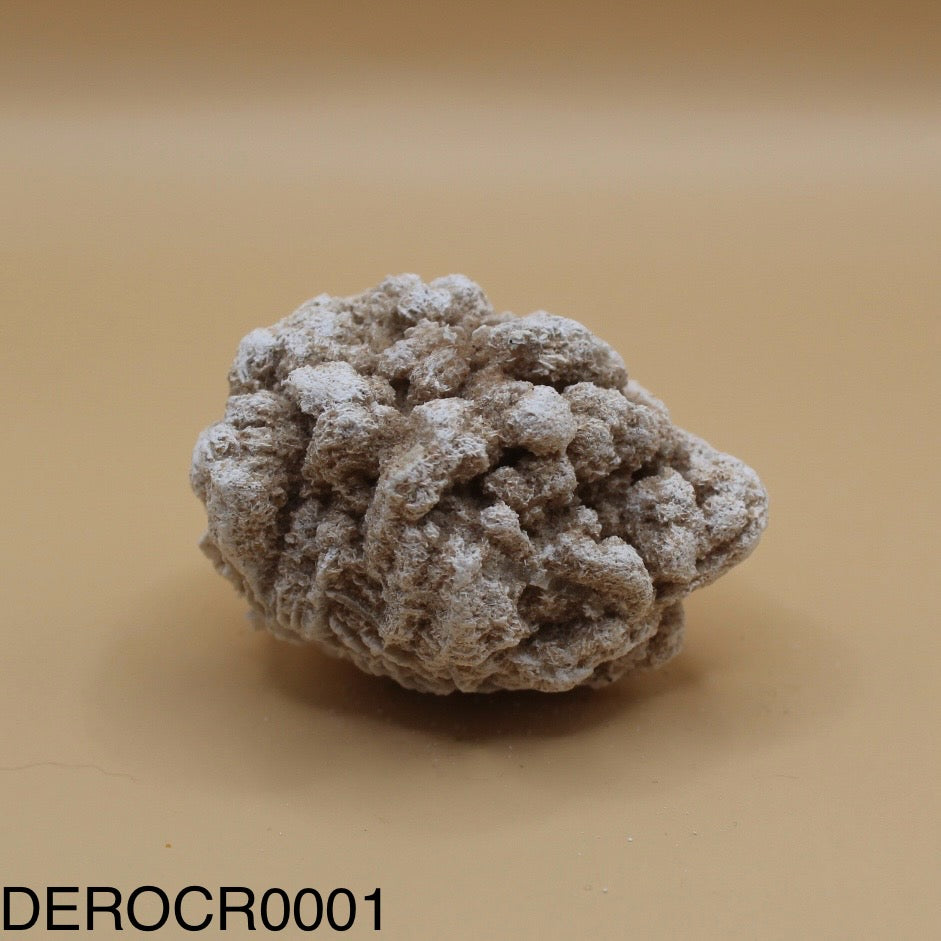 Desert Rose