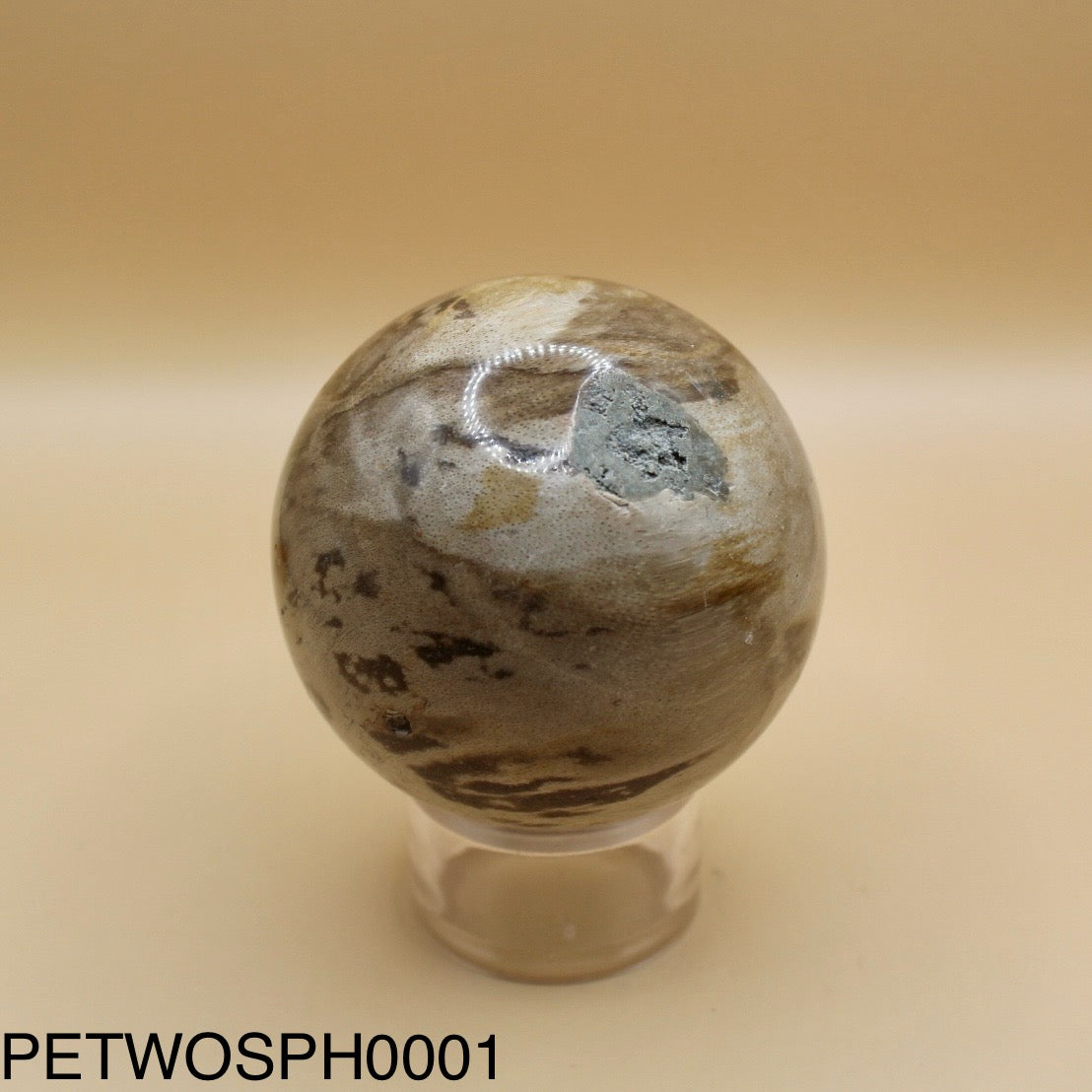 Petrified Wood Sphere