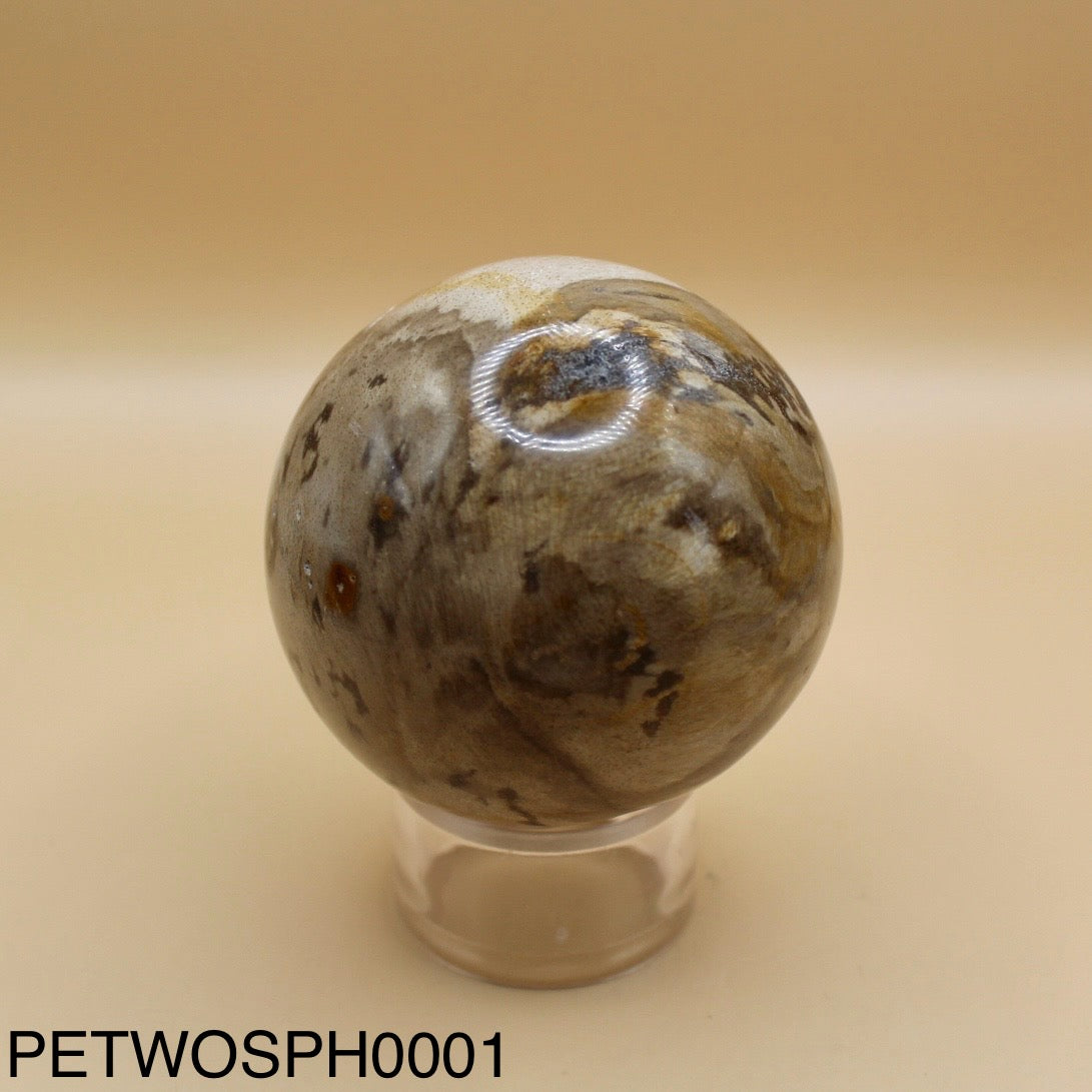 Petrified Wood Sphere